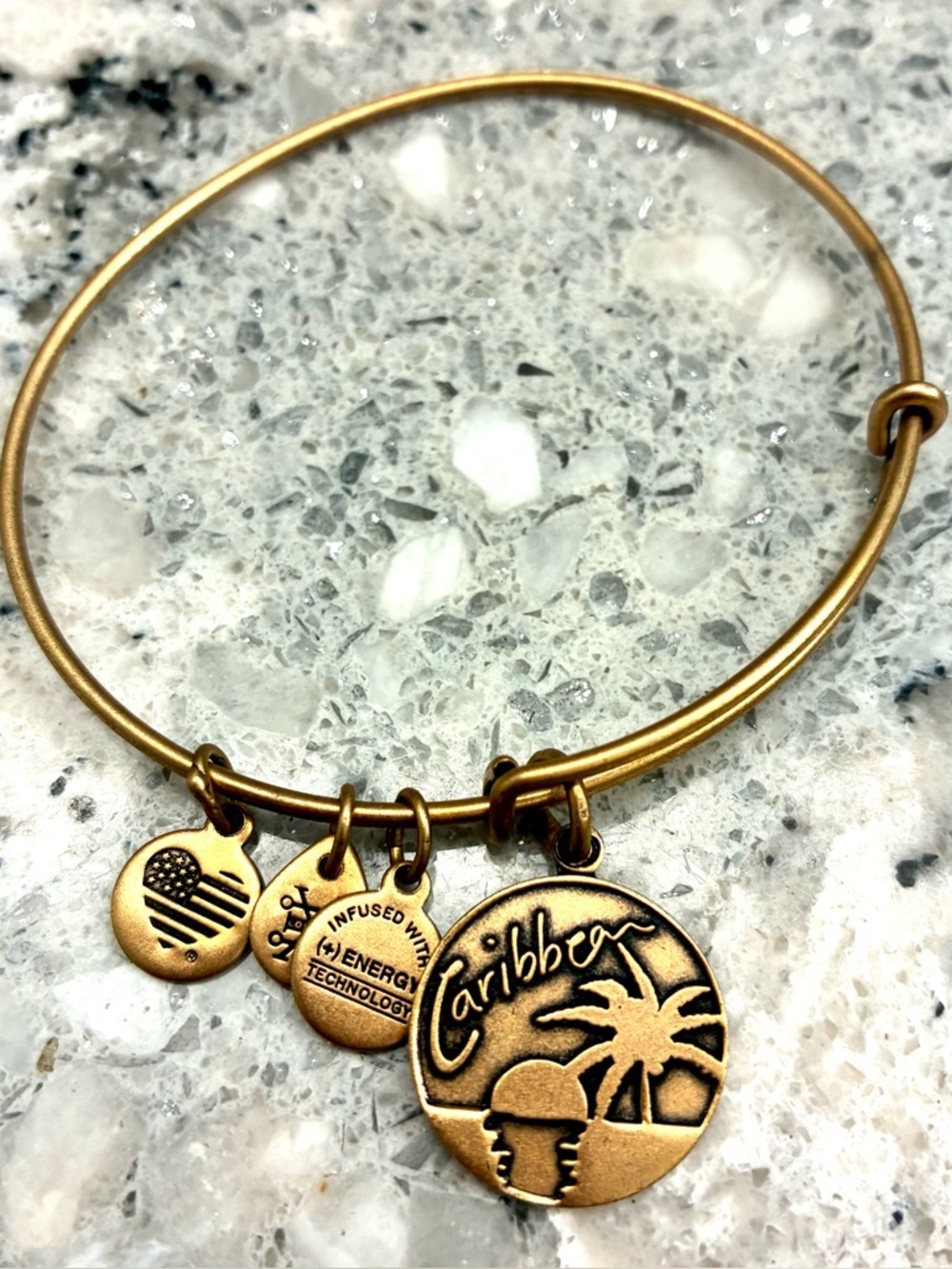 Preowned Alex and Ani gold tone bracelet Caribbean charm